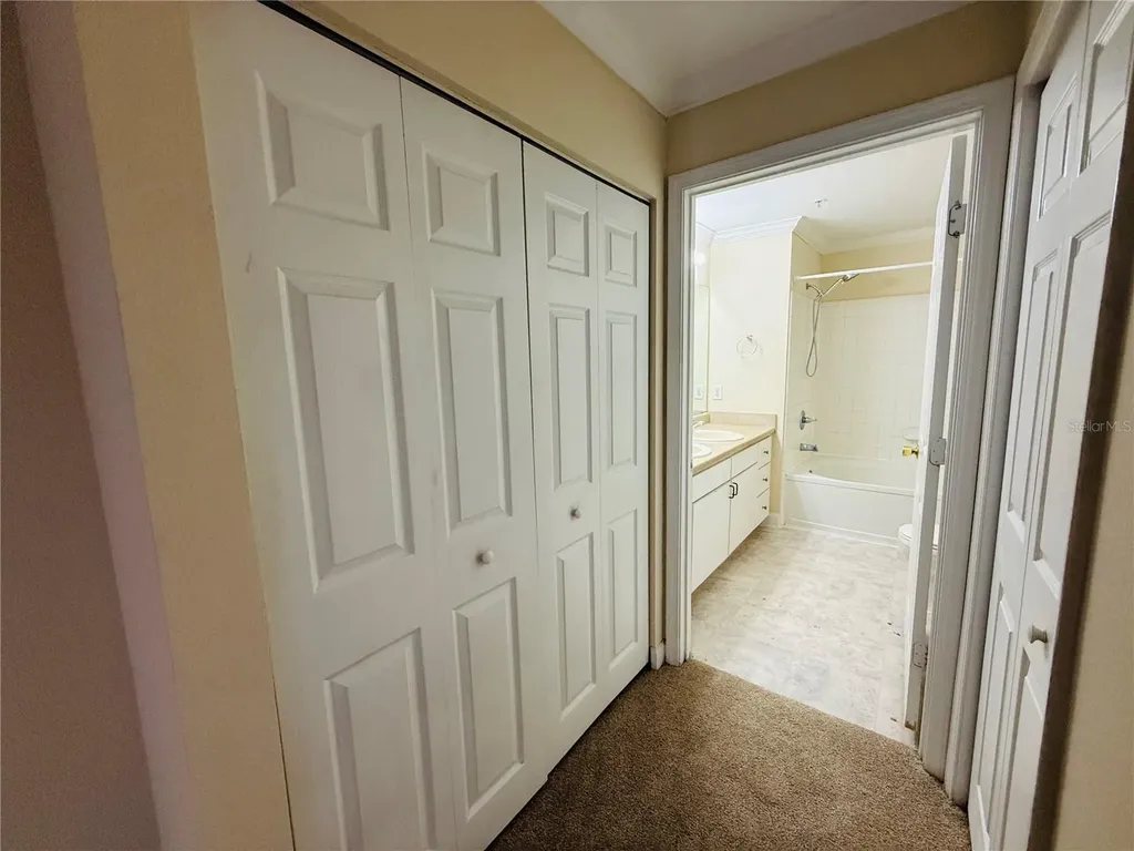 18557 Bridle Club Drive Tampa FL 33647