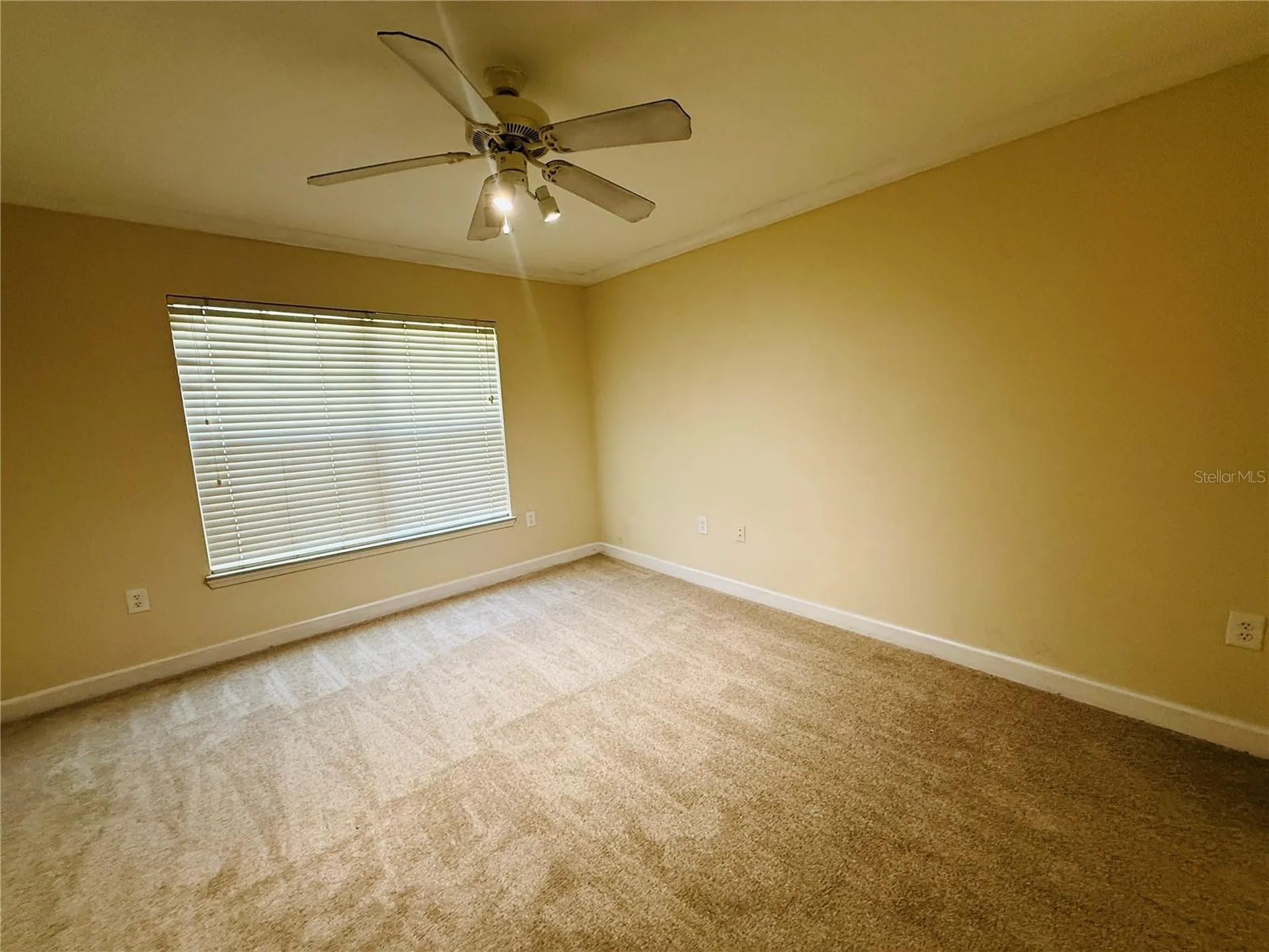 18557 Bridle Club Drive Tampa FL 33647