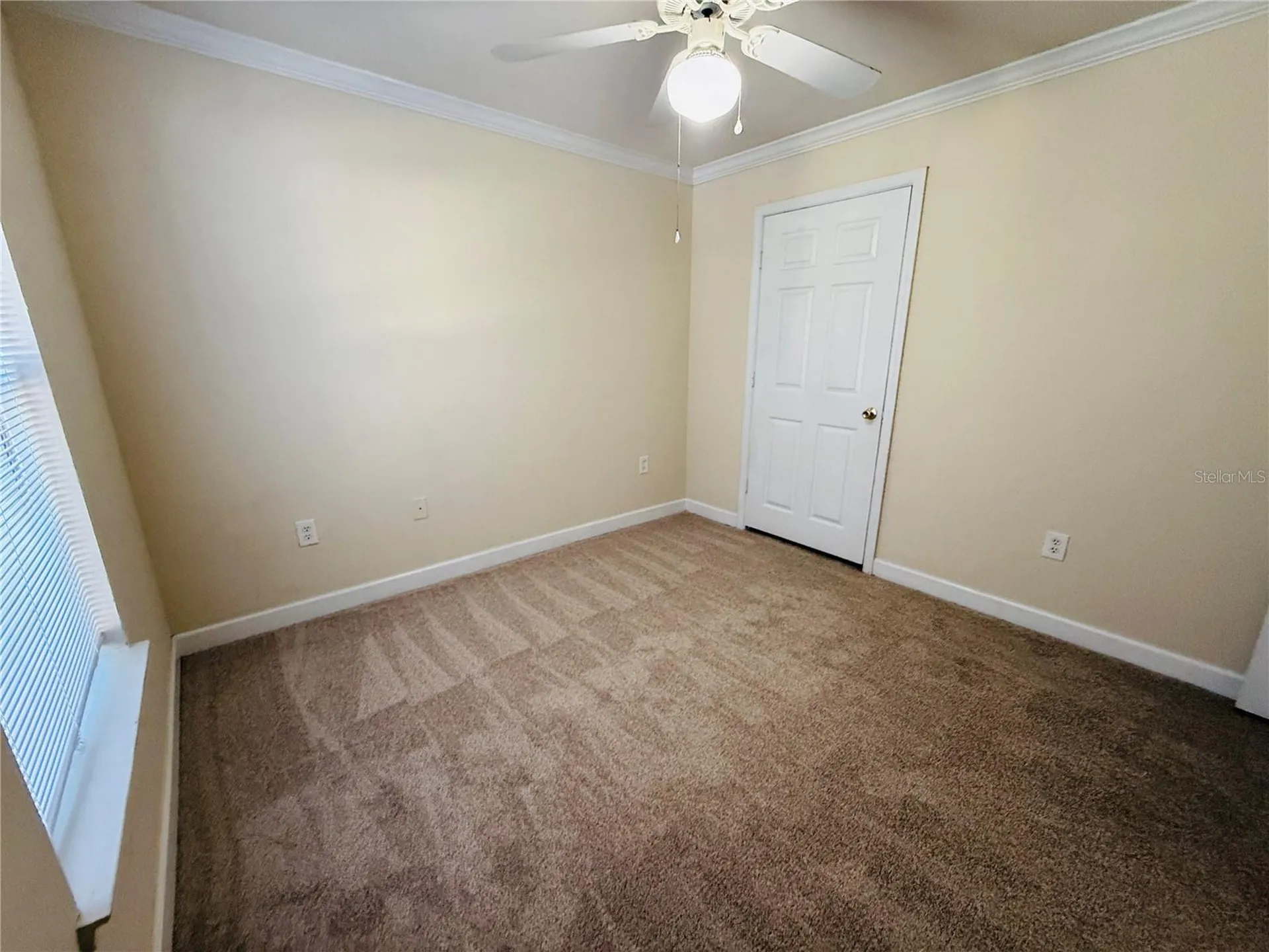 18557 Bridle Club Drive Tampa FL 33647