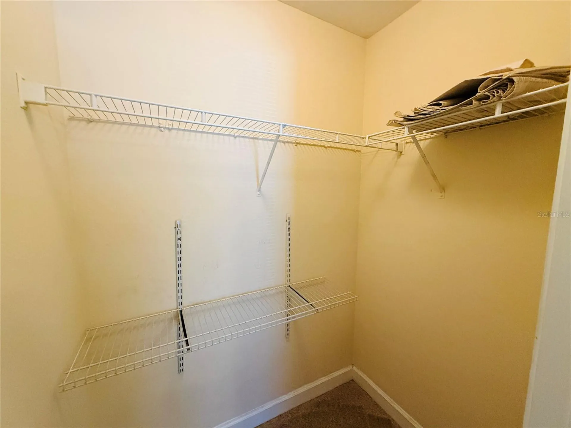 18557 Bridle Club Drive Tampa FL 33647