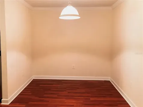 18557 Bridle Club Drive Tampa FL 33647