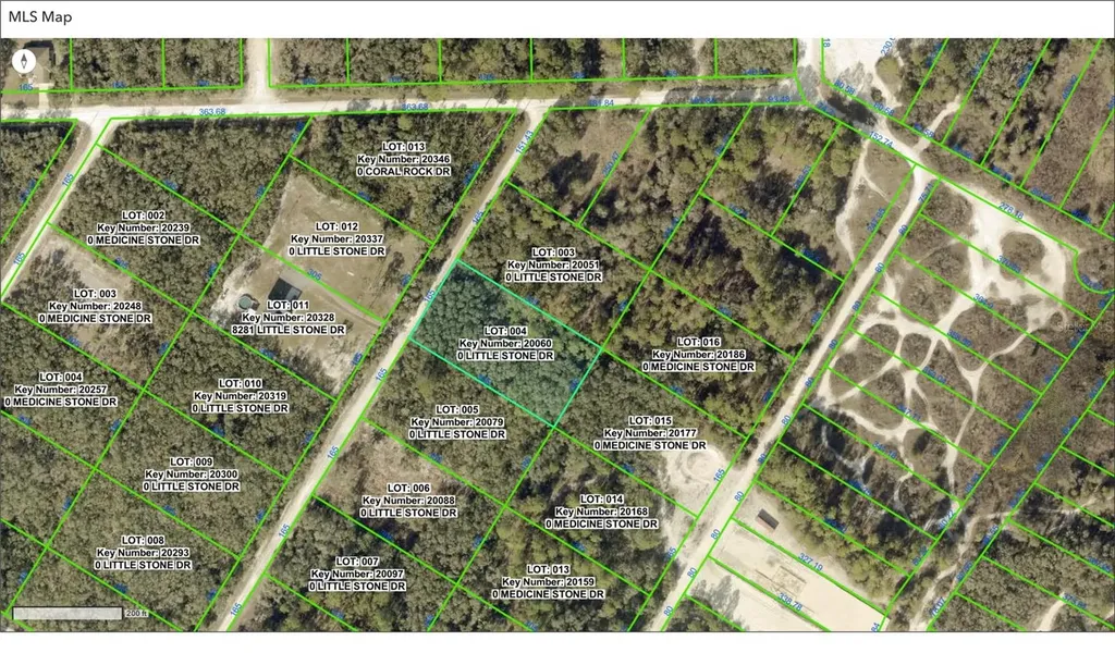000 Little Stone Drive Webster FL 33597