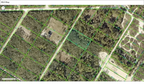 000 Little Stone Drive Webster FL 33597