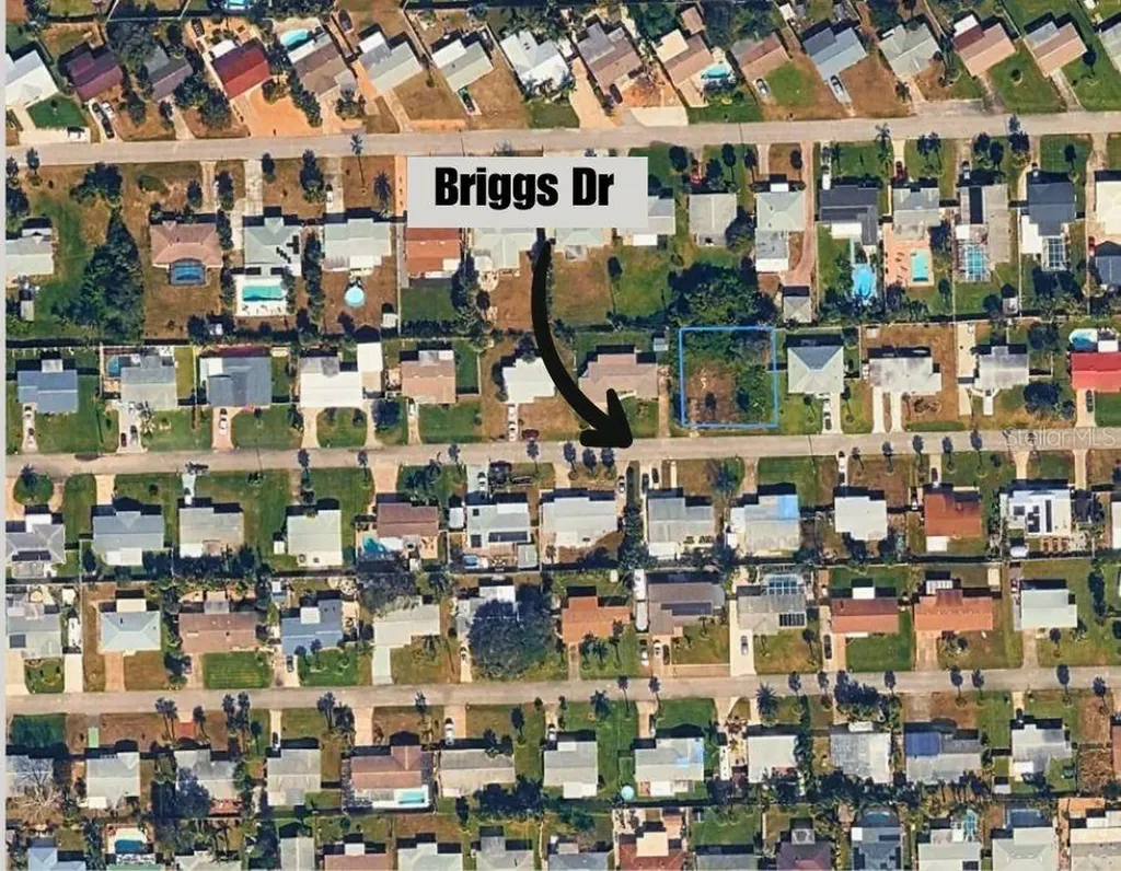 21 Briggs Drive Ormond Beach FL 32176