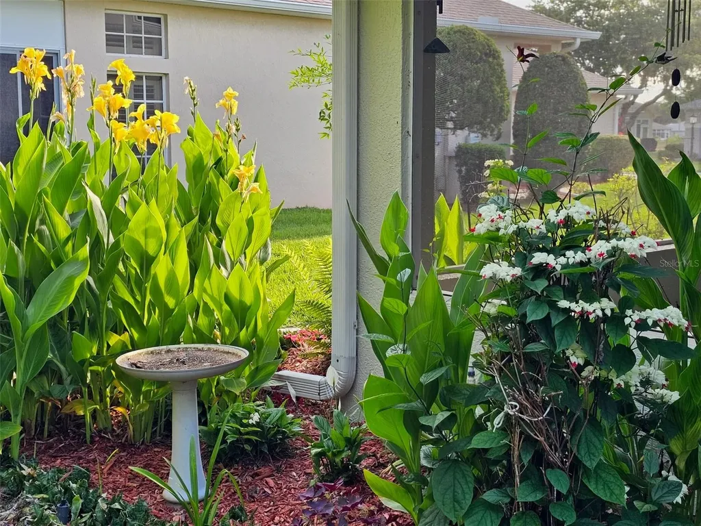 5351 Aurora Drive Leesburg FL 34748
