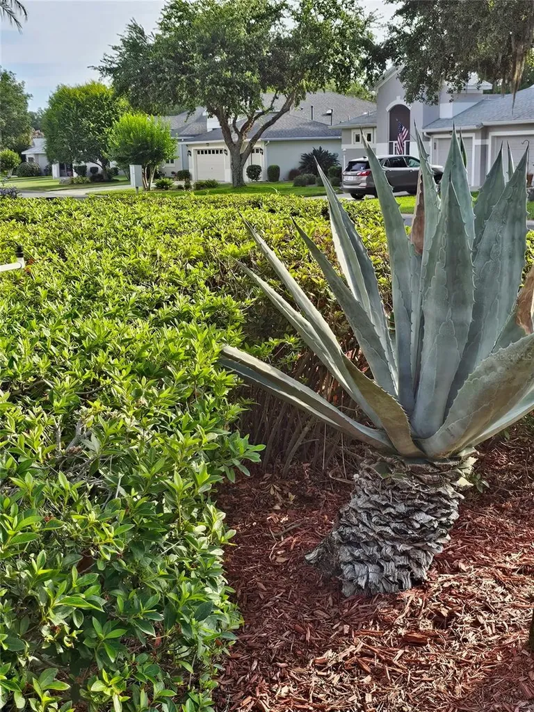 5351 Aurora Drive Leesburg FL 34748
