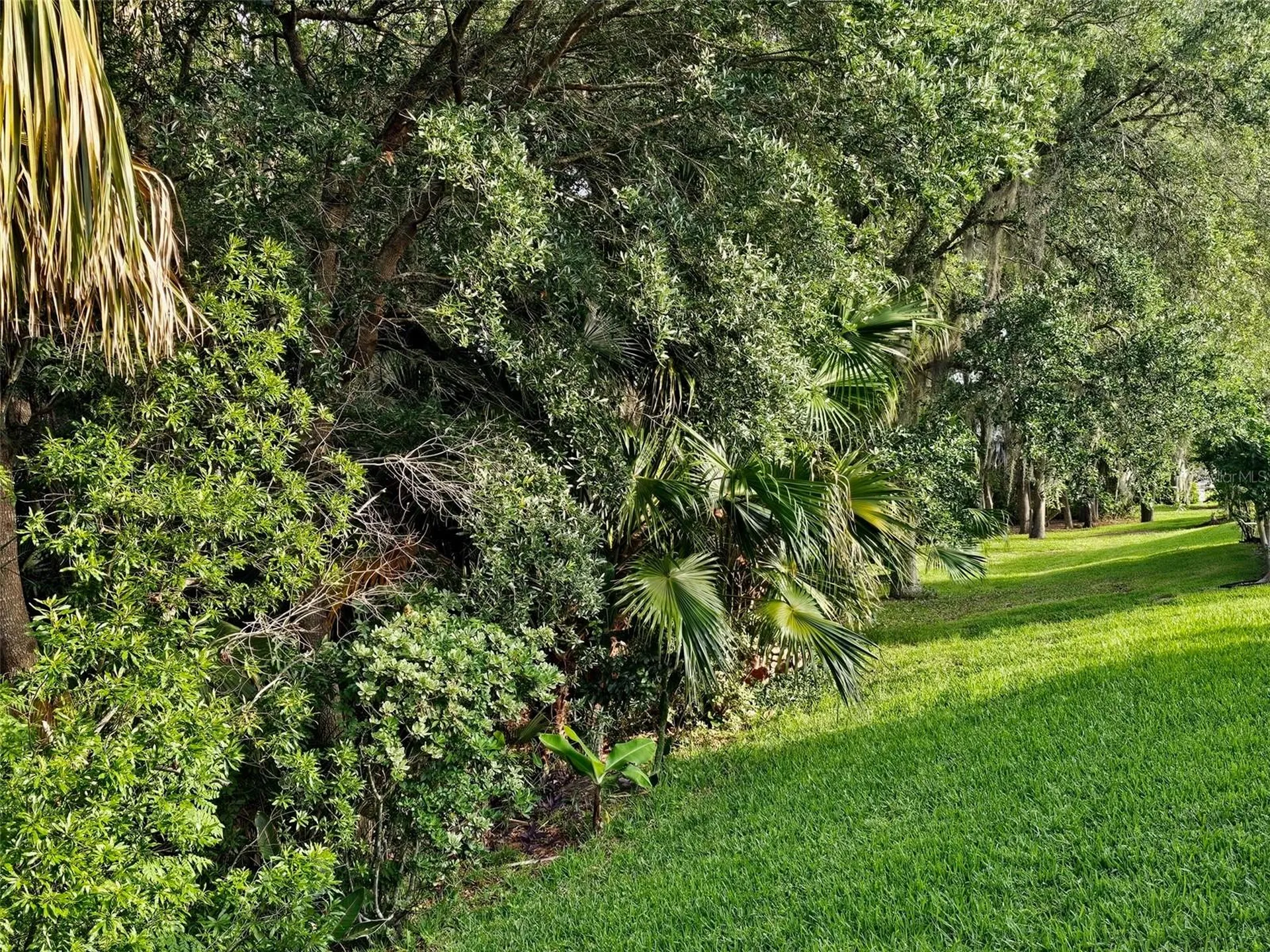 5351 Aurora Drive Leesburg FL 34748
