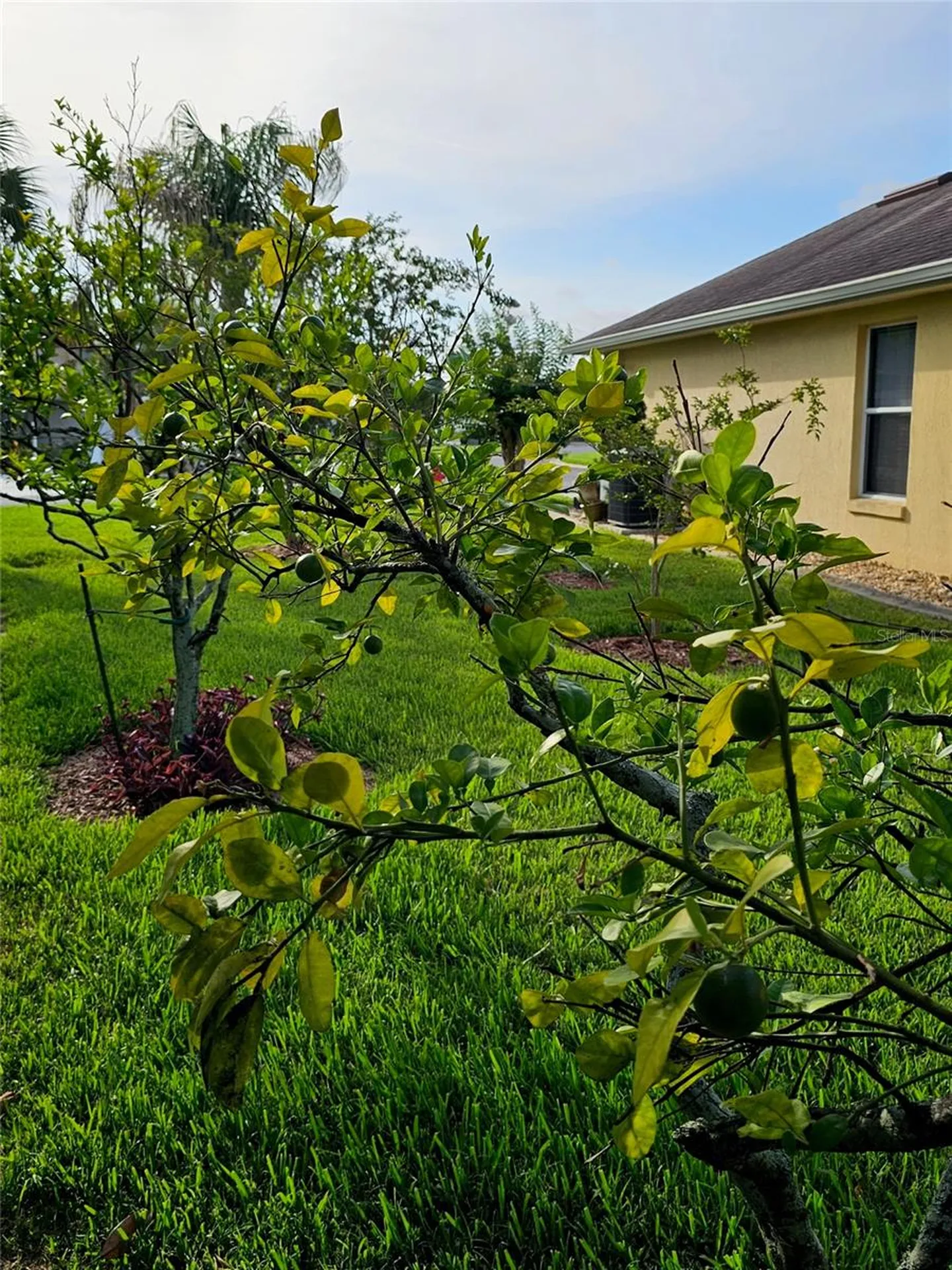 5351 Aurora Drive Leesburg FL 34748