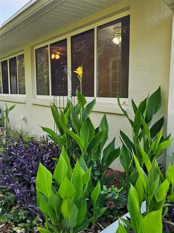 5351 Aurora Drive Leesburg FL 34748