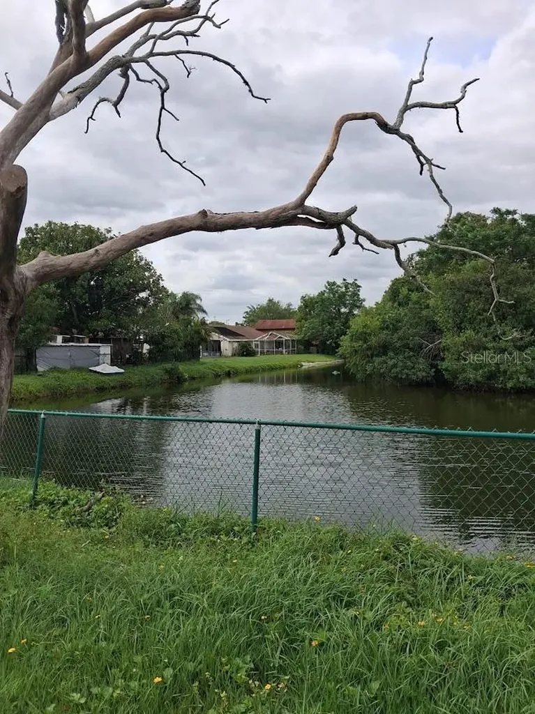 4432 Tidal Pond Road New Port Richey FL 34652