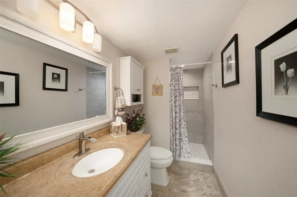 124 W Cypress Court Oldsmar FL 34677