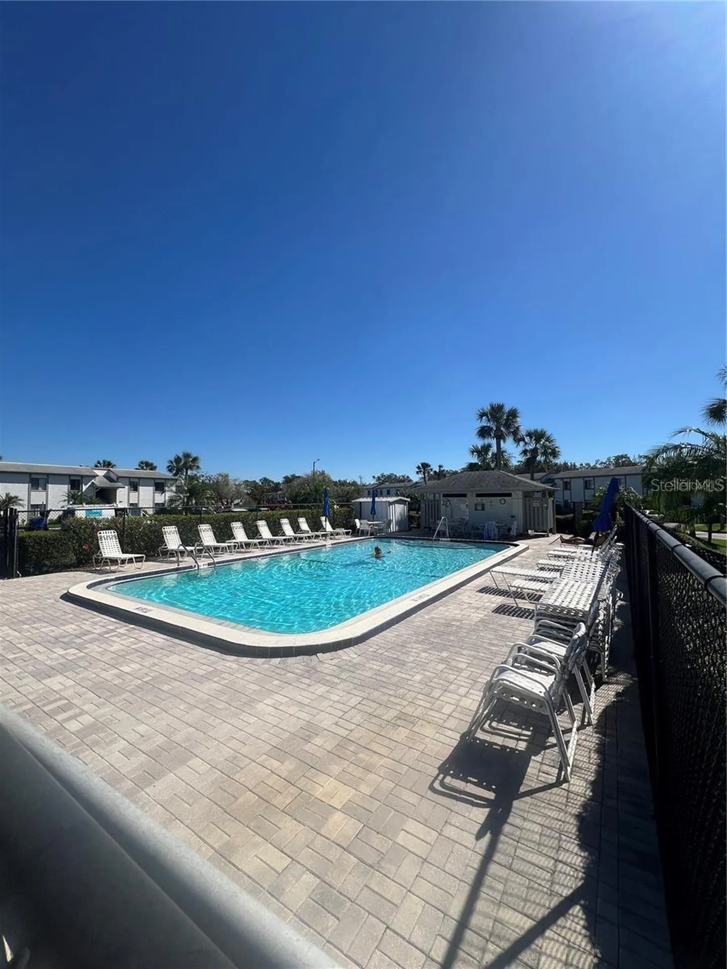 124 W Cypress Court Oldsmar FL 34677