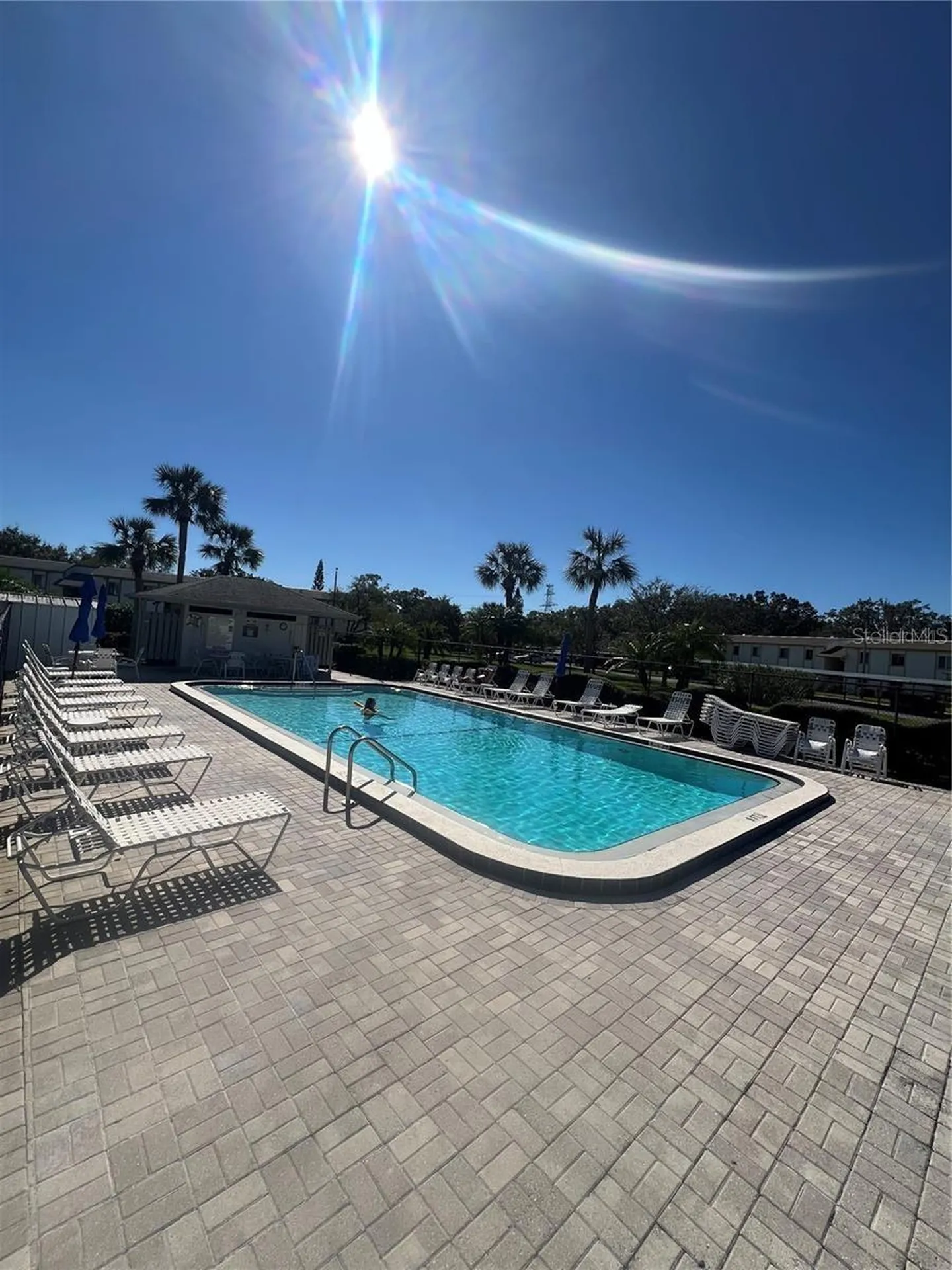 124 W Cypress Court Oldsmar FL 34677