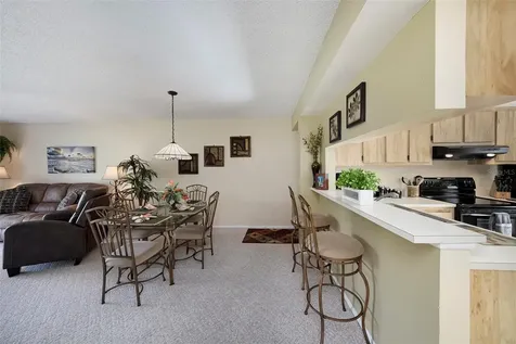 124 W Cypress Court Oldsmar FL 34677