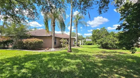 6441 Silver Oaks Drive Zephyrhills FL 33542