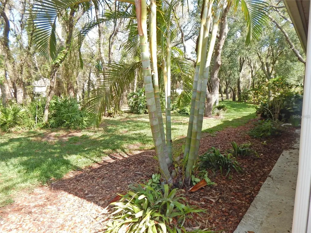5925 Sandhill Ridge Drive Lithia FL 33547