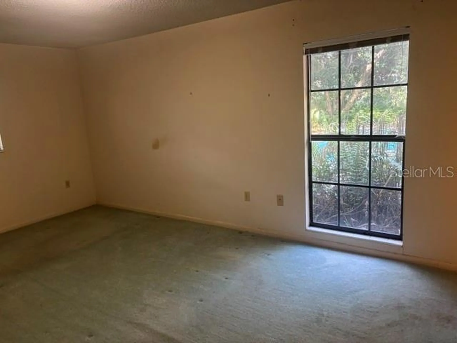 501 Camelia Lane Deland FL 32724