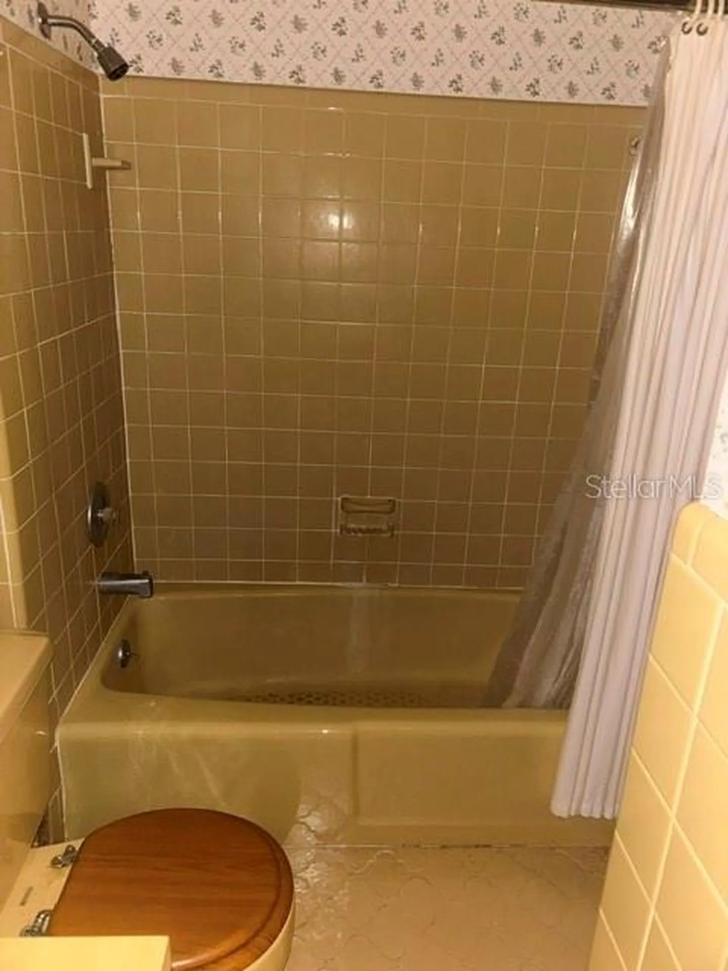 501 Camelia Lane Deland FL 32724