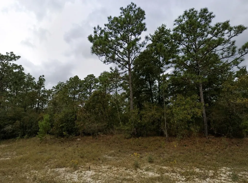 Bentley Court Chipley FL 32428