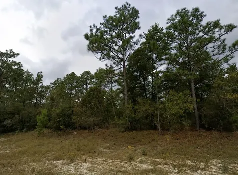 Bentley Court Chipley FL 32428
