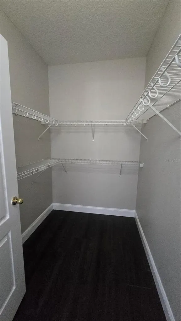 1138 Andrew Aviles Circle Tampa FL 33619