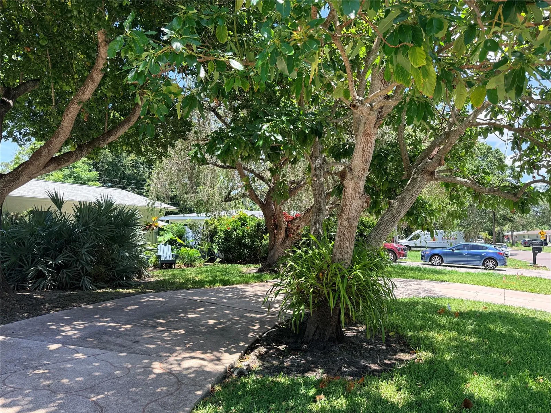 1479 S Evergreen Avenue Clearwater FL 33756