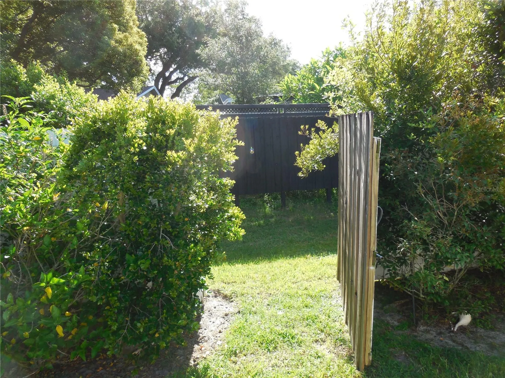 1479 S Evergreen Avenue Clearwater FL 33756