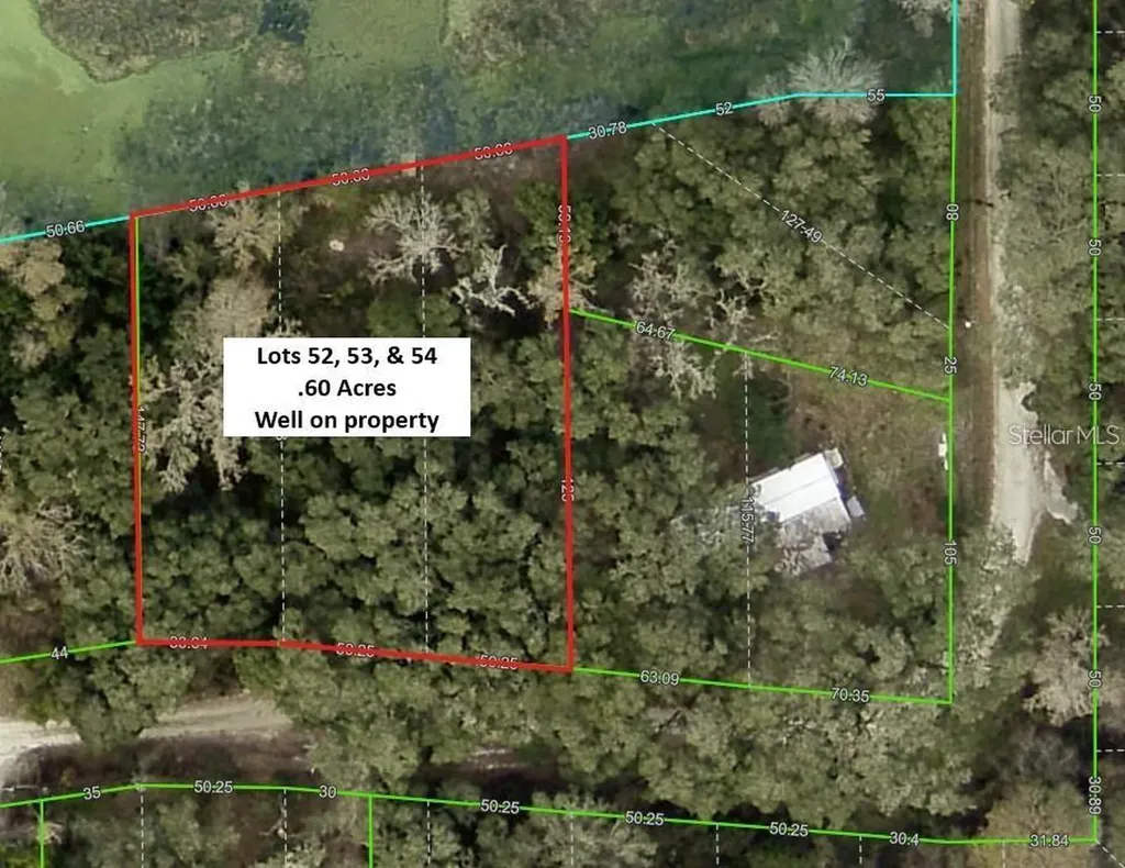 Tannahill Street Dade City FL 33523