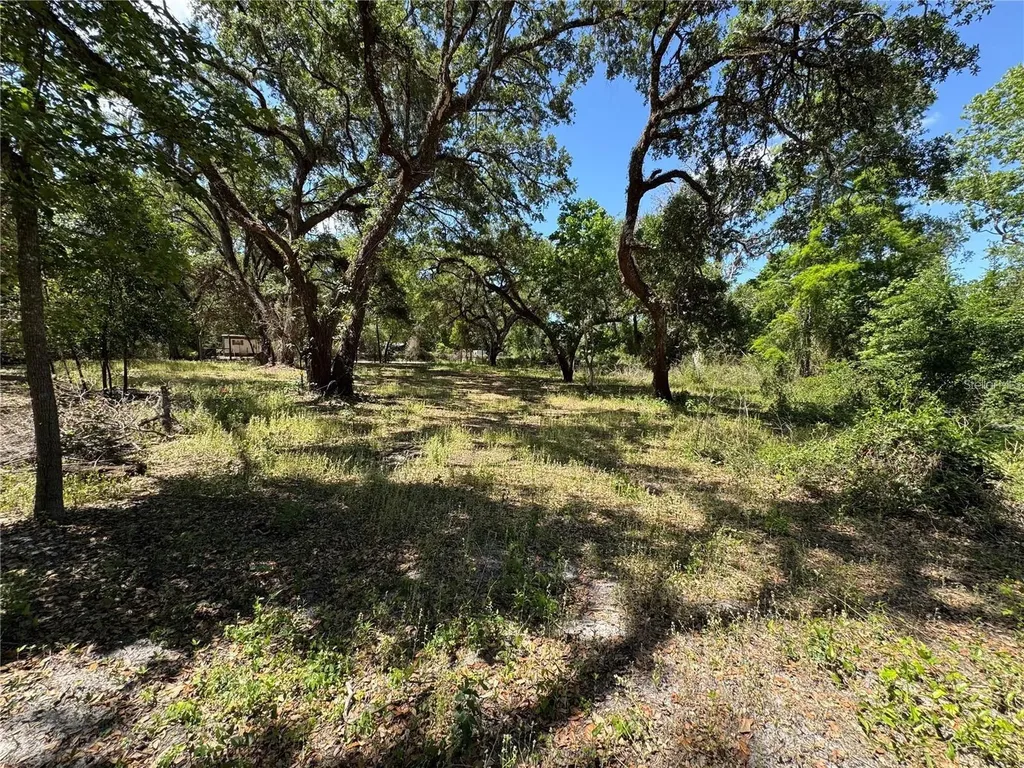 Tannahill Street Dade City FL 33523