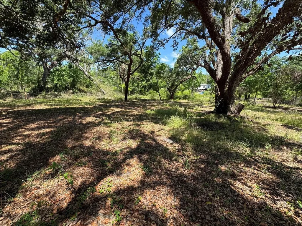 Tannahill Street Dade City FL 33523