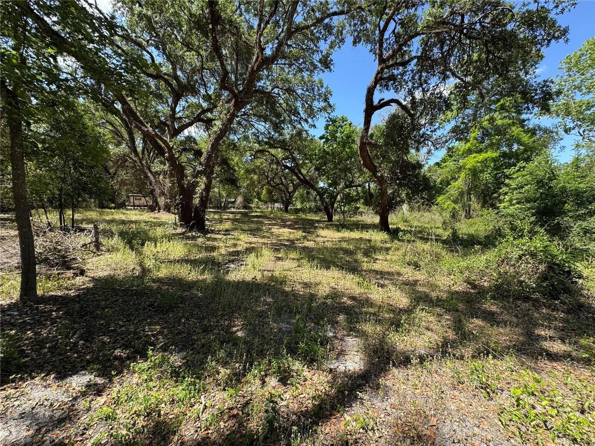 Tannahill Street Dade City FL 33523