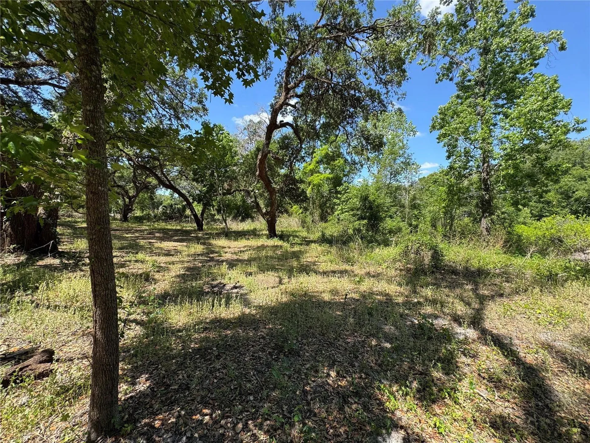 Tannahill Street Dade City FL 33523