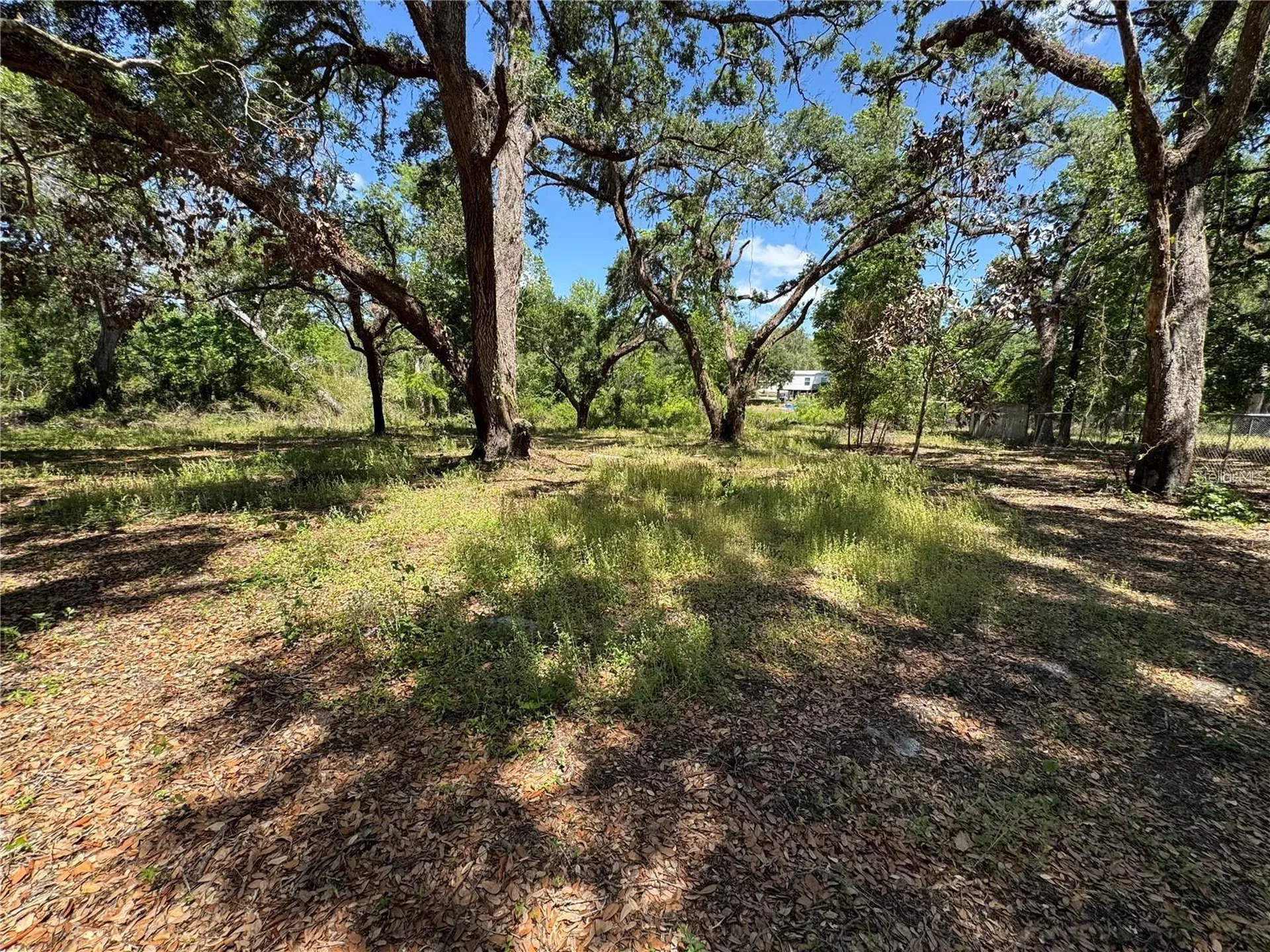 Tannahill Street Dade City FL 33523