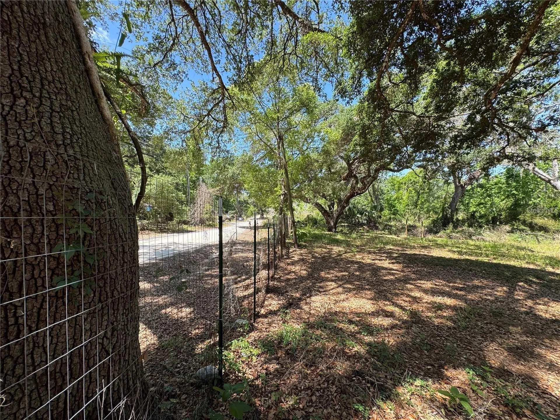 Tannahill Street Dade City FL 33523