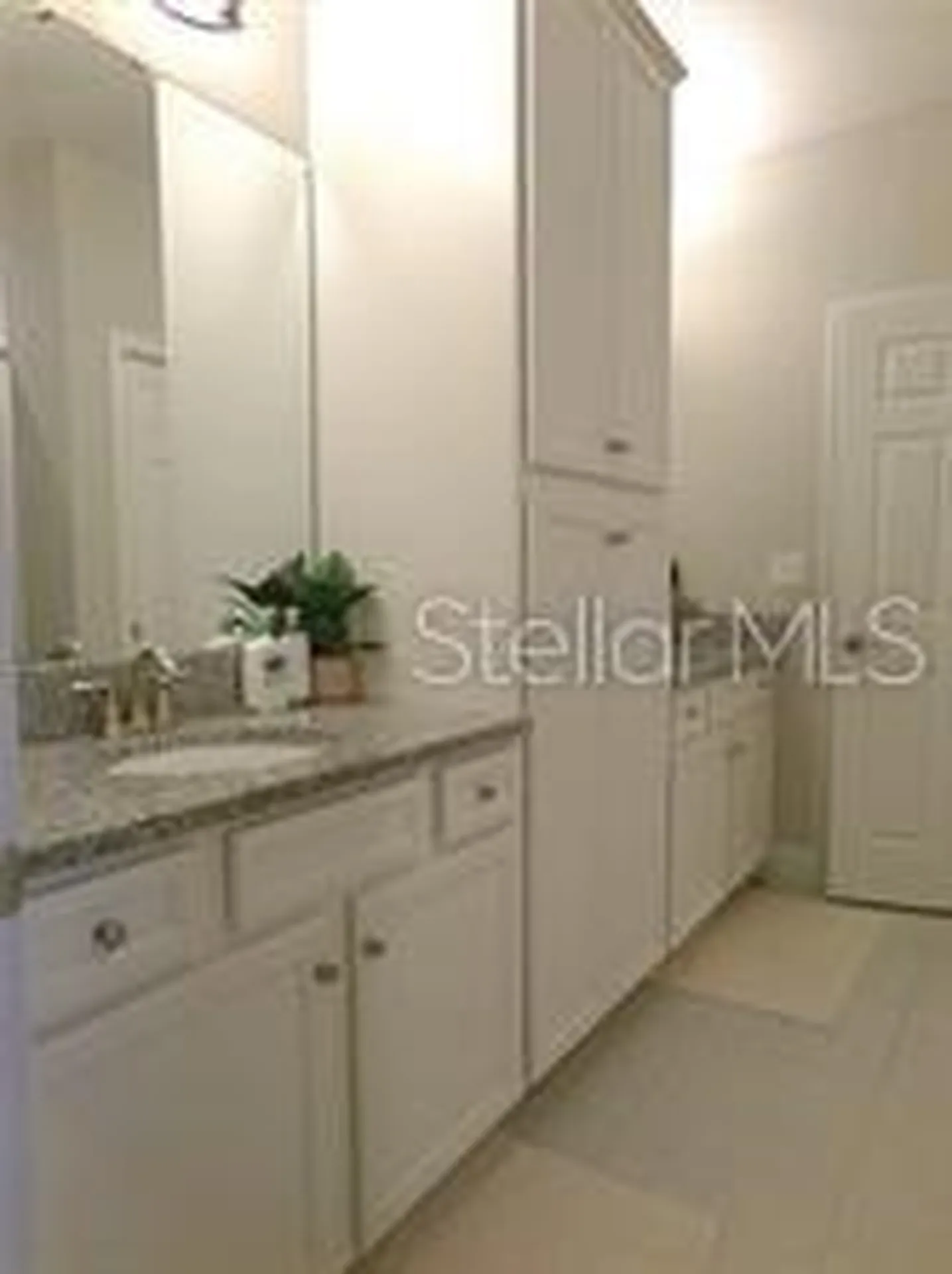11212 Hawks Fern Drive Riverview FL 33569