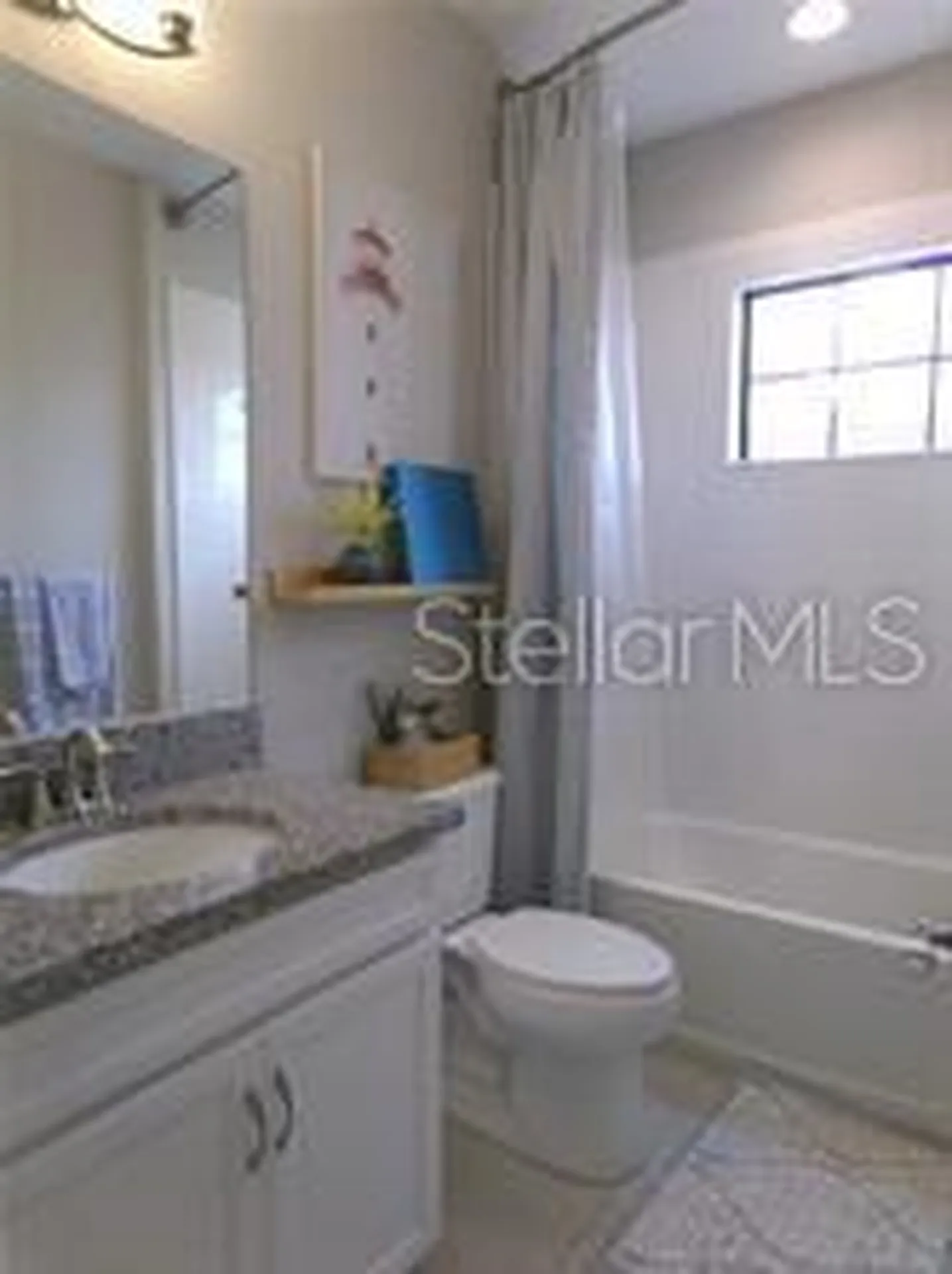 11212 Hawks Fern Drive Riverview FL 33569
