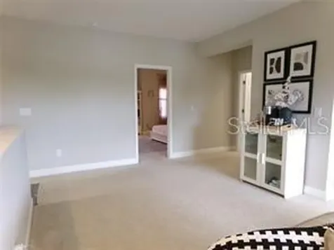 11212 Hawks Fern Drive Riverview FL 33569