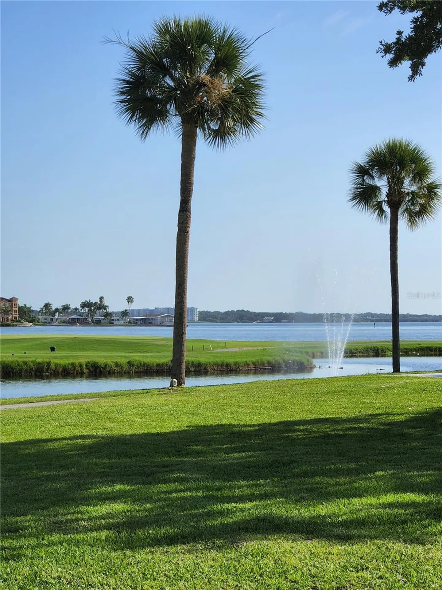 2620 Cove Cay Drive Clearwater FL 33760