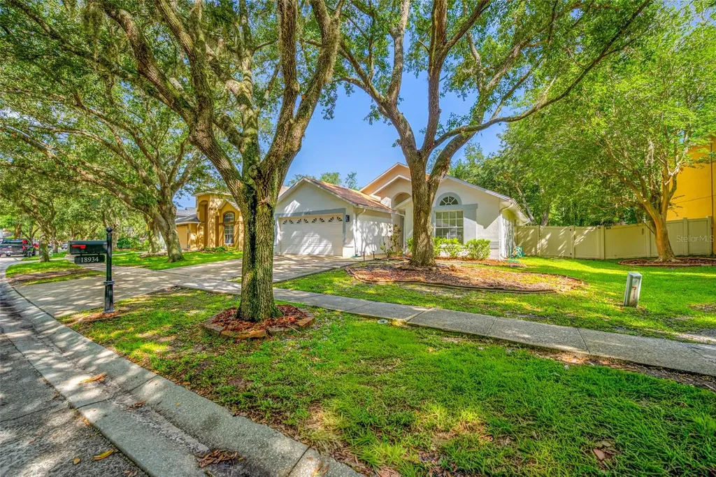 18934 Wood Sage Drive Tampa FL 33647