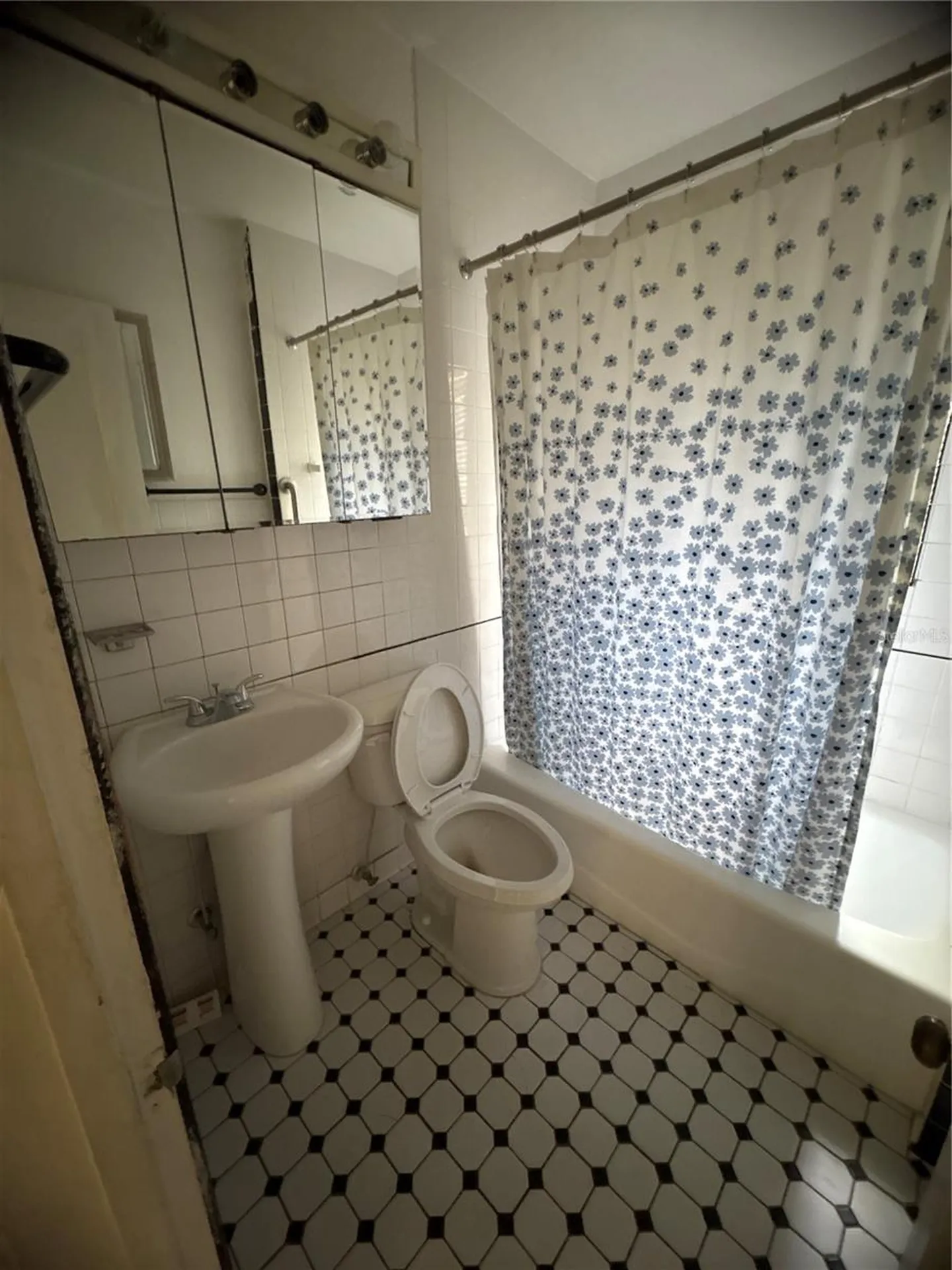 2217 Mallory Avenue Tampa FL 33605
