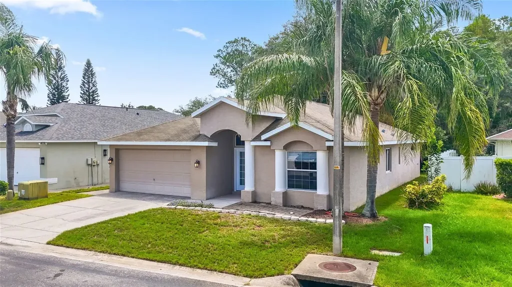 11654 Leda Lane New Port Richey FL 34654