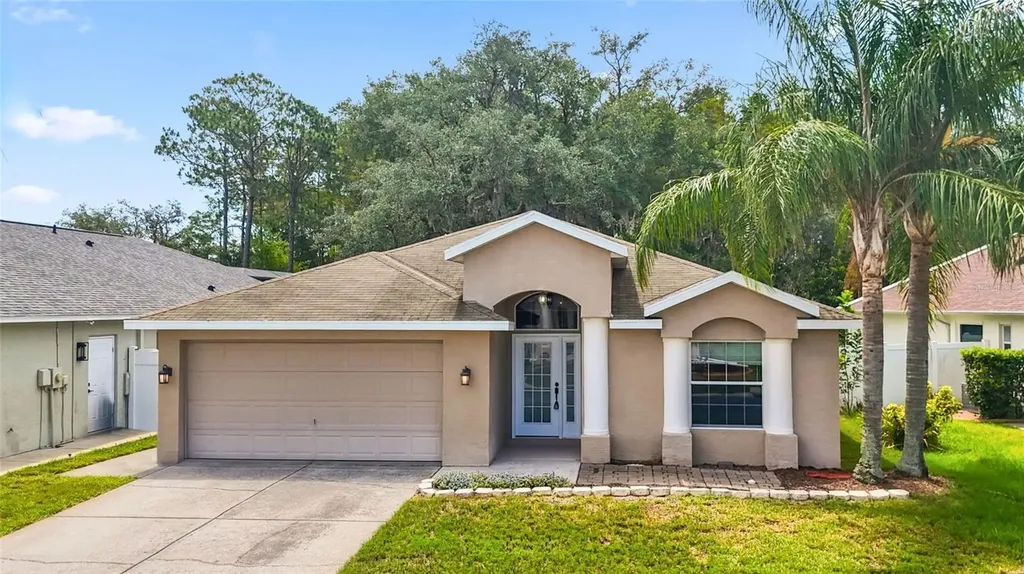 11654 Leda Lane New Port Richey FL 34654