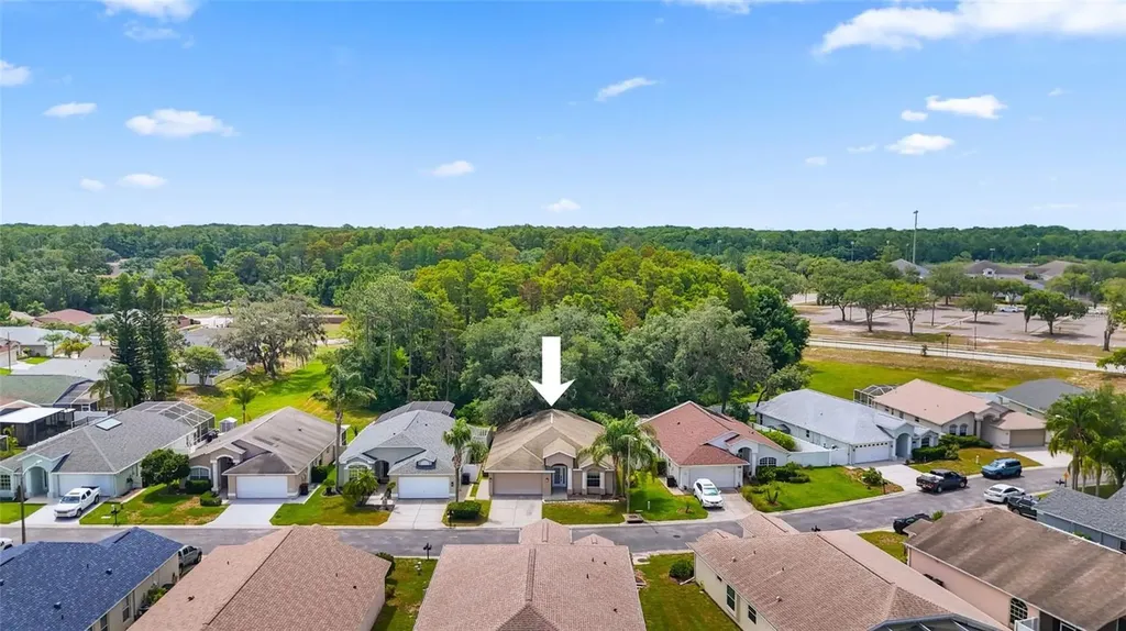 11654 Leda Lane New Port Richey FL 34654