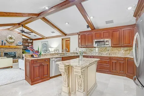 2809 Fairway View Drive Valrico FL 33596