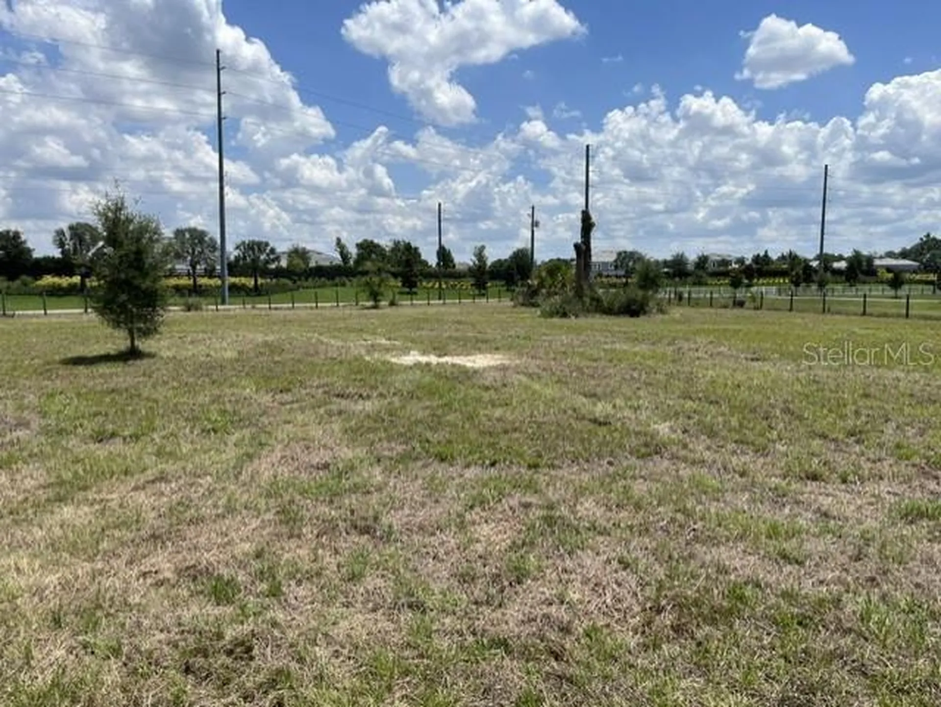 15110 Patterson Road Odessa FL 33556