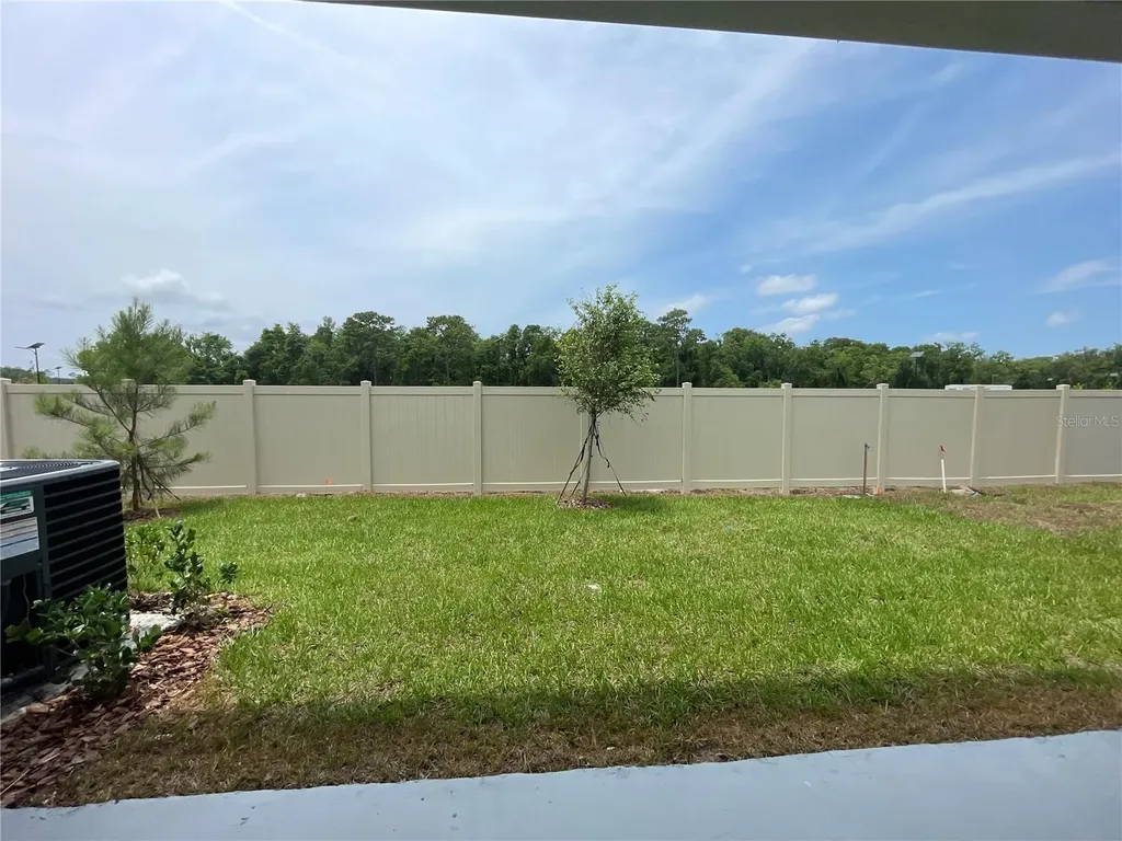 11127 Crescent Deer Drive Land O Lakes FL 34638