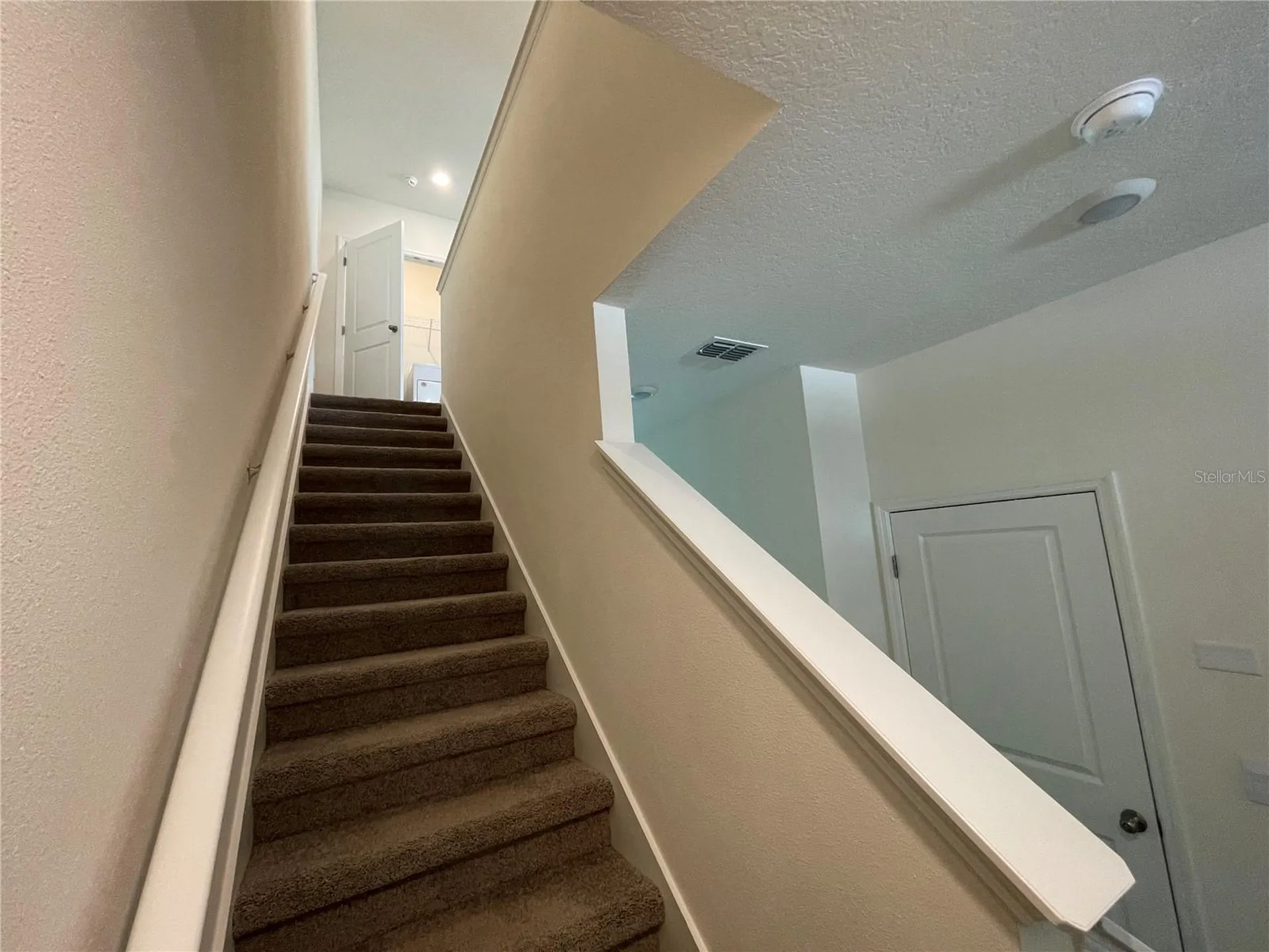 11127 Crescent Deer Drive Land O Lakes FL 34638