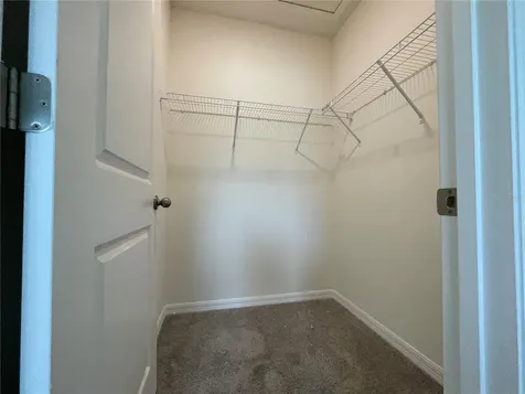 11127 Crescent Deer Drive Land O Lakes FL 34638