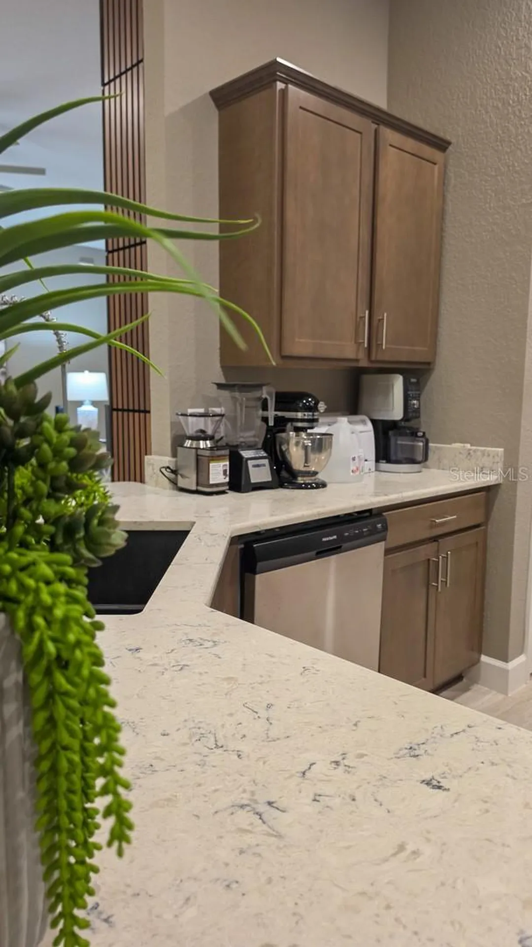 29 Matricaria Court Homosassa FL 34446