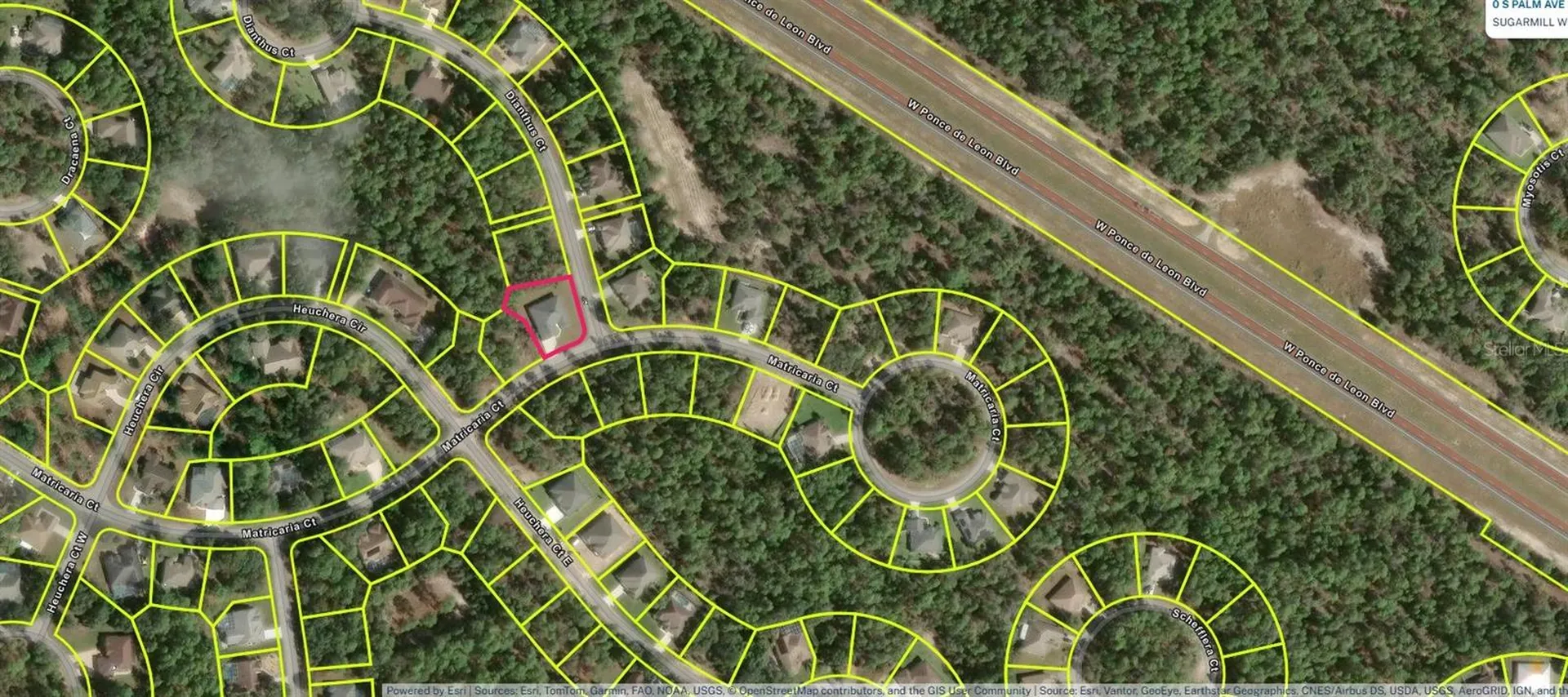 29 Matricaria Court Homosassa FL 34446